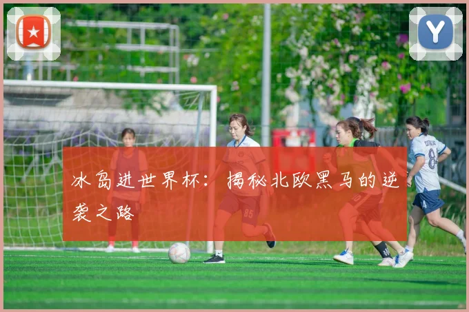 冰岛进世界杯：揭秘北欧黑马的逆袭之路