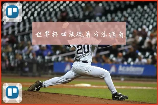 世界杯回放观看方法指南