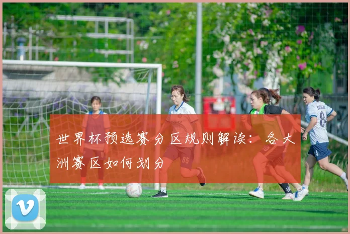 世界杯预选赛分区规则解读:各大洲赛区如何划分