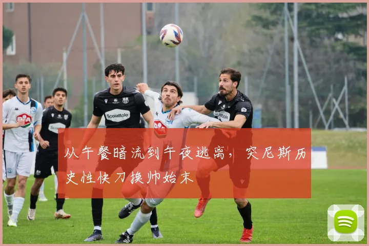 从午餐暗流到午夜逃离,突尼斯历史性快刀换帅始末