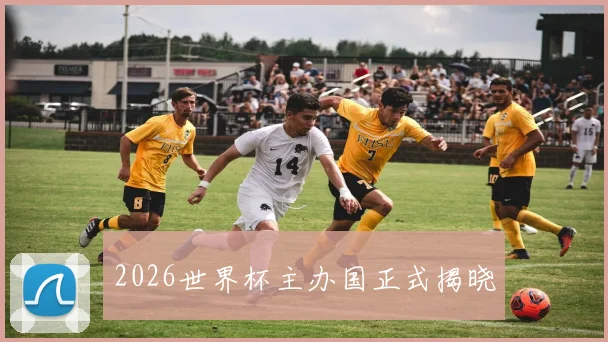 2026世界杯主办国正式揭晓