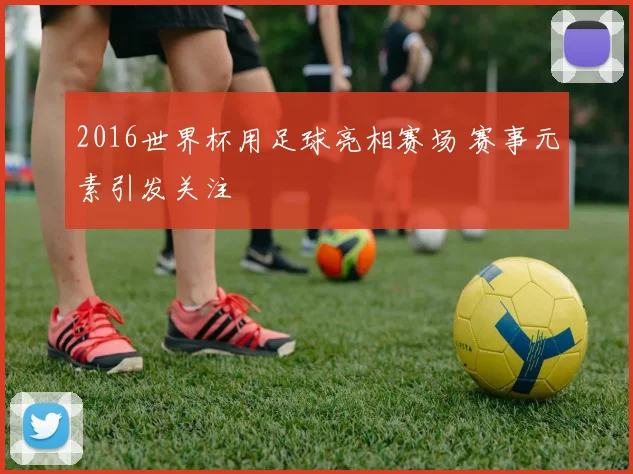 2016世界杯用足球亮相赛场 赛事元素引发关注