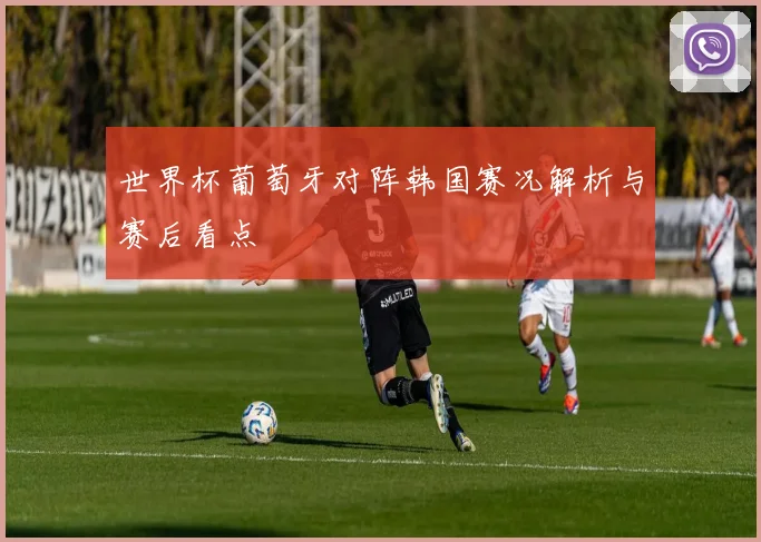 世界杯葡萄牙对阵韩国赛况解析与赛后看点