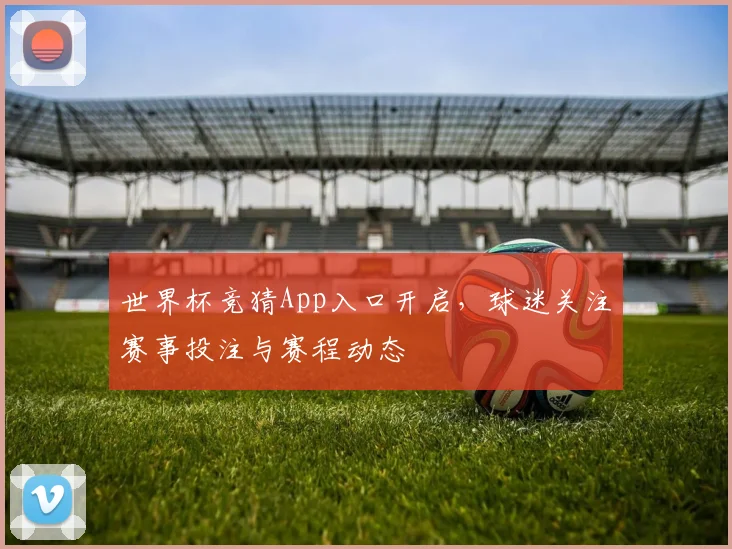 世界杯竞猜App入口开启，球迷关注赛事投注与赛程动态