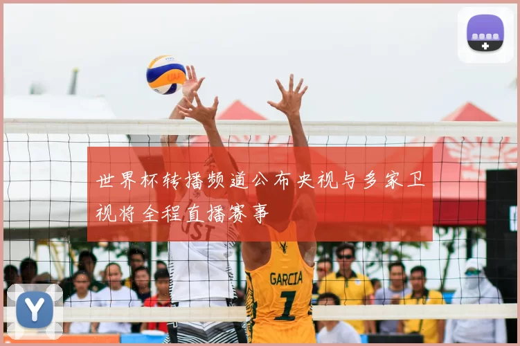 世界杯转播频道公布央视与多家卫视将全程直播赛事