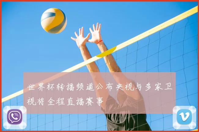 世界杯转播频道公布央视与多家卫视将全程直播赛事